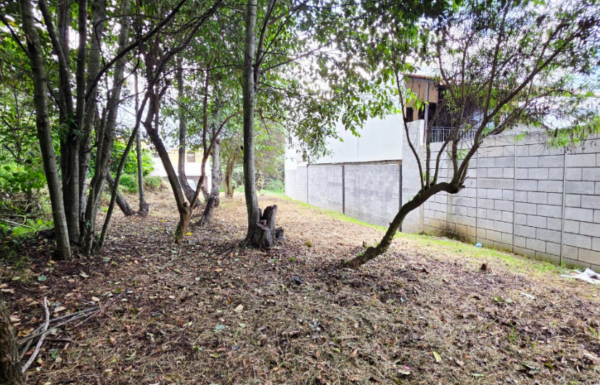 Lote Residencial de 200 m² en La Nueva Ciudad de Los Altos