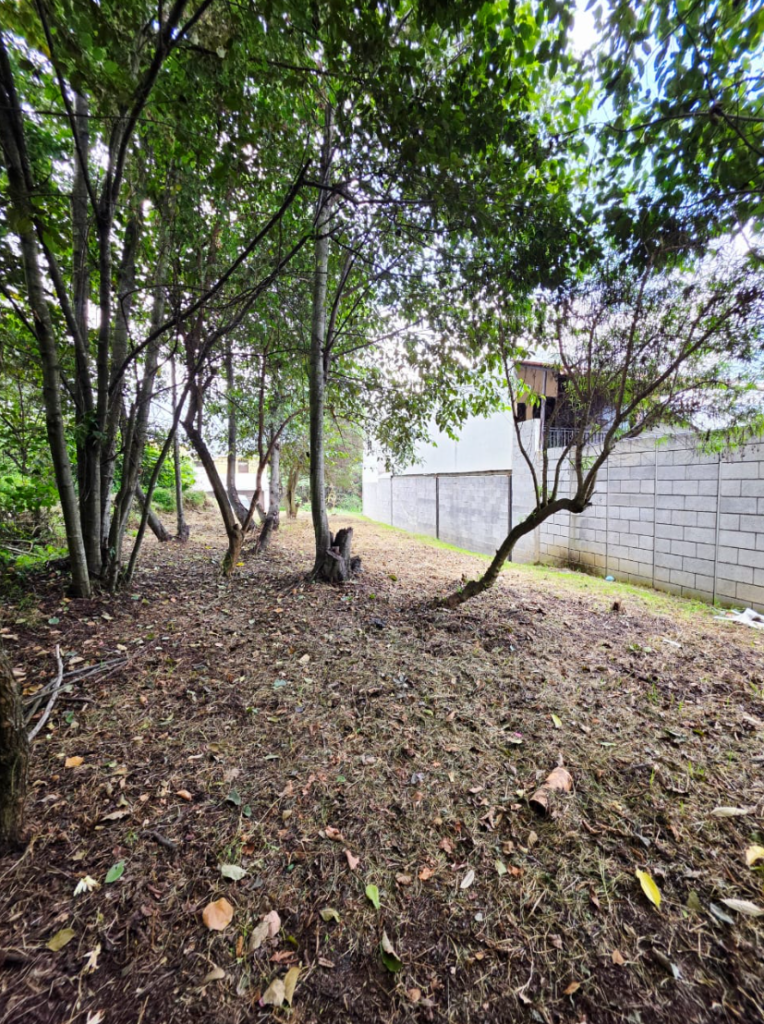 Lote Residencial de 200 m² en La Nueva Ciudad de Los Altos