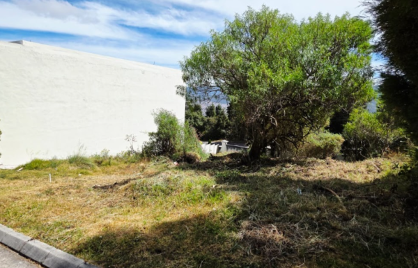 Lote de Media Cuerda en Venta en La Nueva Ciudad de Los Altos