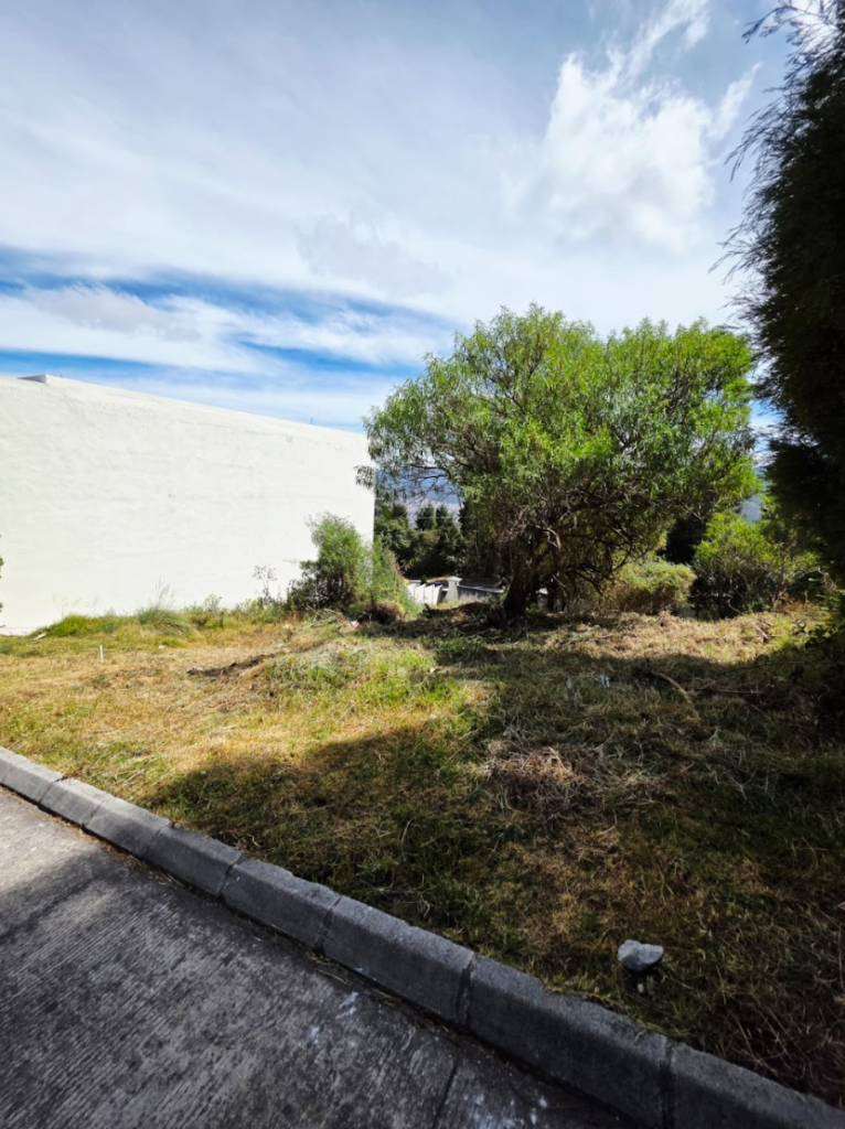 Lote de Media Cuerda en Venta en La Nueva Ciudad de Los Altos