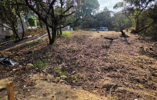 Lote en Venta en La Nueva Ciudad de Los Altos