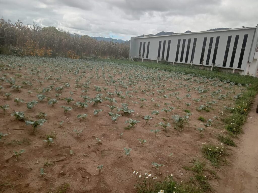 Lotes en Venta en Zona 3 de La Esperanza