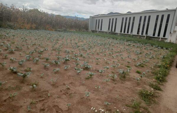 Lotes en Venta en Zona 3 de La Esperanza