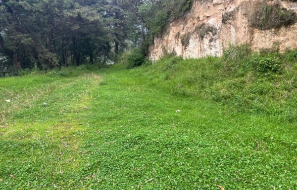 Terreno de 10 Cuerdas en Venta entre Santa Rita y Santa Bárbara, La Esperanza
